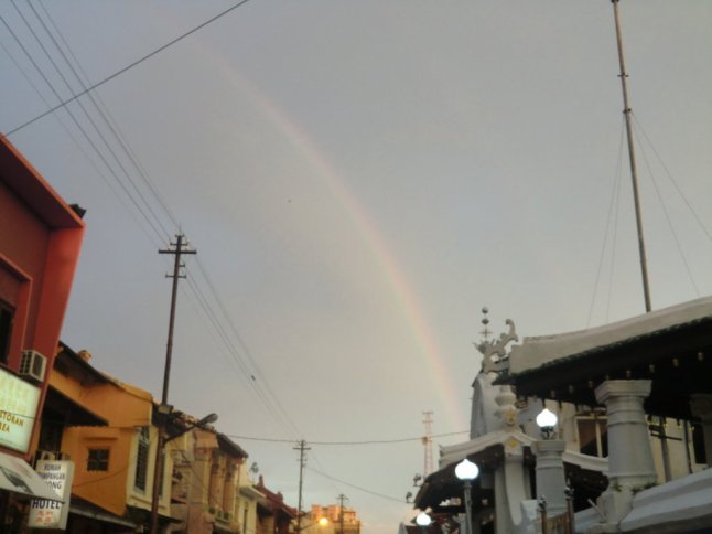 CIMG7654 (FILEminimizer)