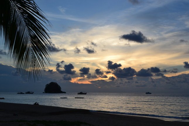 DSC_0001 (FILEminimizer)