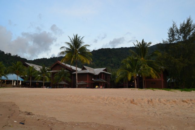 DSC_0005 (FILEminimizer)