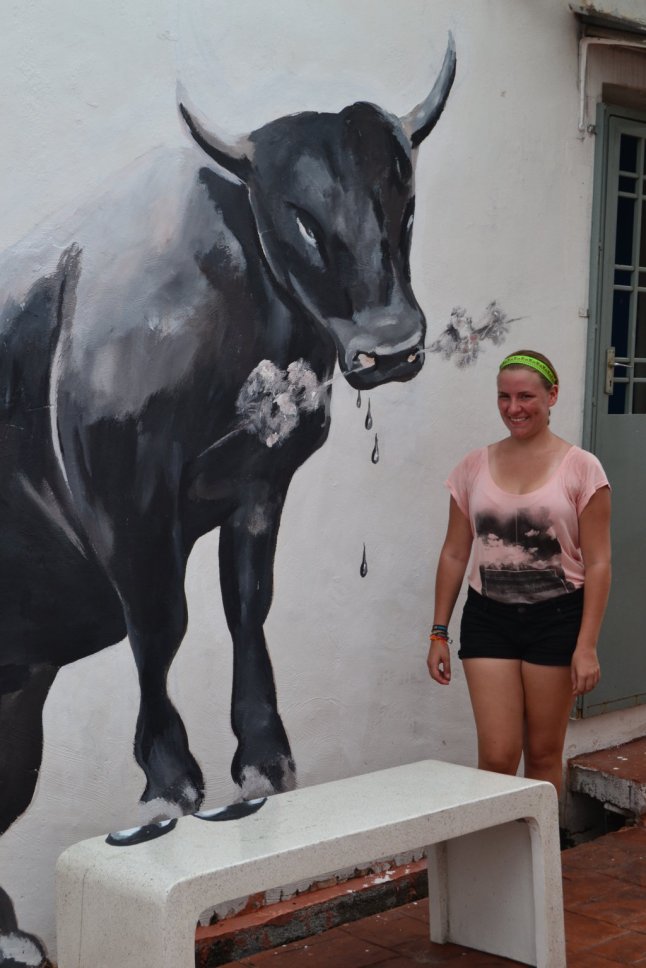 DSC_0016 (FILEminimizer)