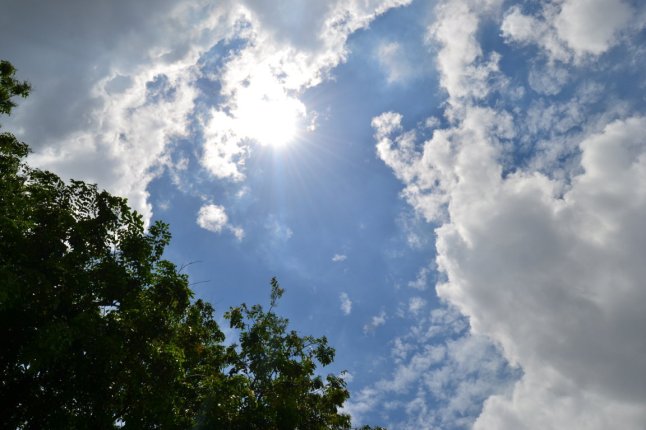 DSC_0030 (FILEminimizer)