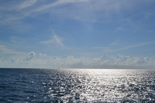 DSC_0032 (FILEminimizer)