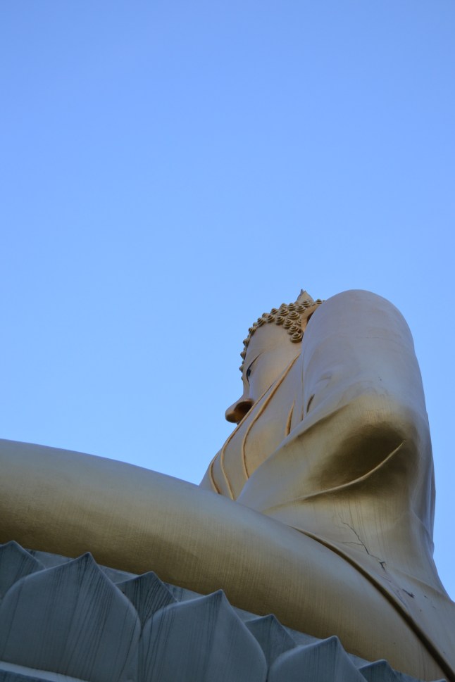 DSC_0270