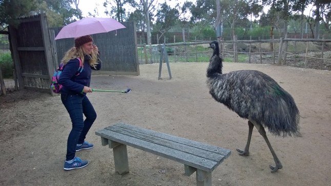 11265567_10103151353055113_2332580762880651727_n