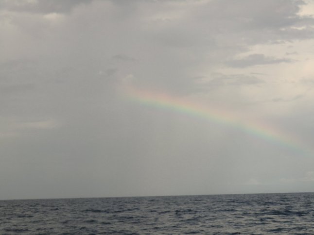 CIMG7813 (FILEminimizer)