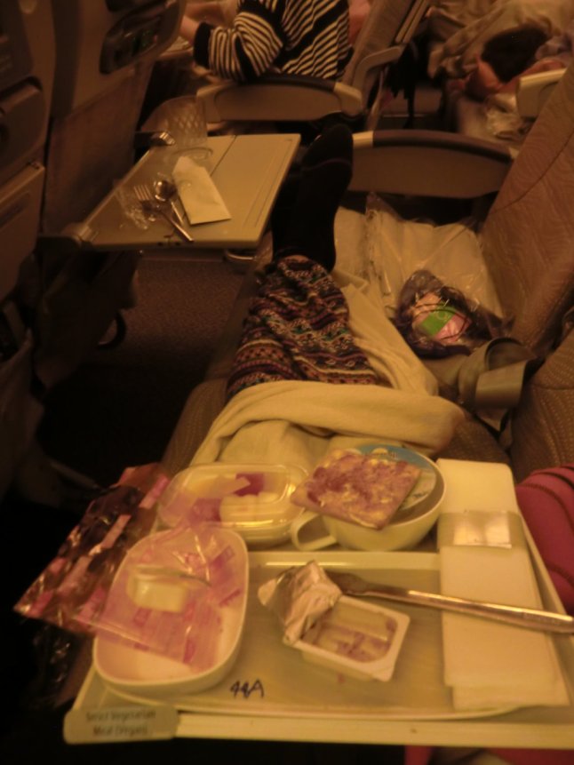 CIMG7913 (FILEminimizer)