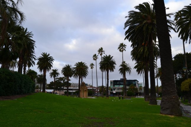 DSC_0001 (FILEminimizer)