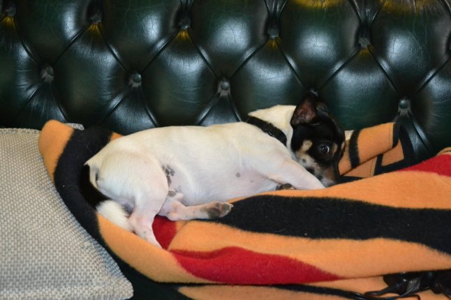 DSC_0001 (FILEminimizer)