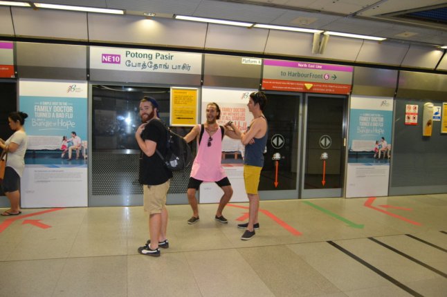 DSC_0003 (FILEminimizer)