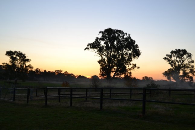 DSC_0005 (FILEminimizer)