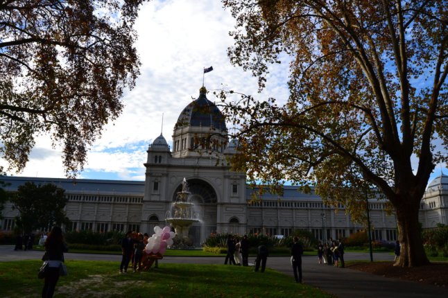 DSC_0007 (FILEminimizer)