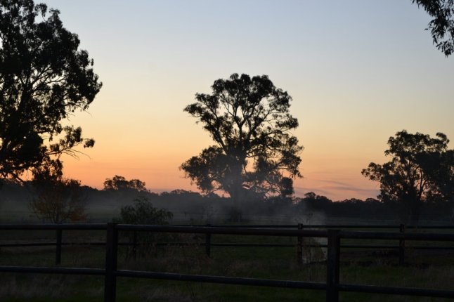 DSC_0007 (FILEminimizer)