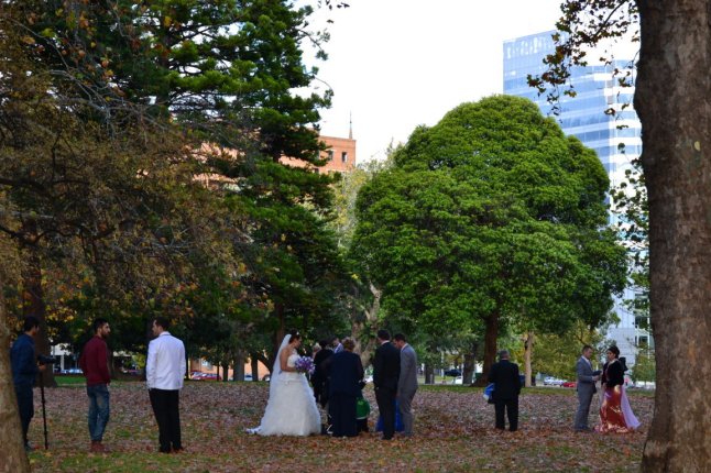 DSC_0012 (FILEminimizer)