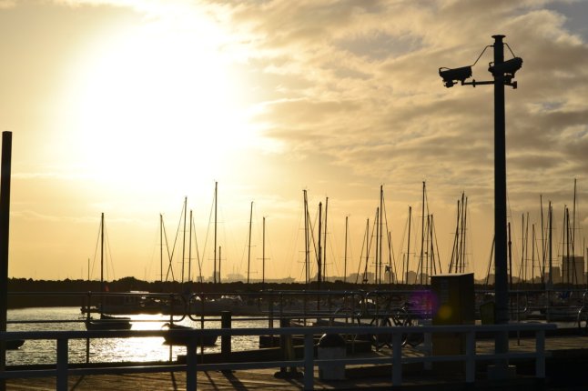 DSC_0016 (FILEminimizer)