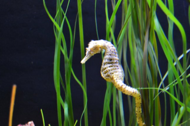 DSC_0018 (FILEminimizer)