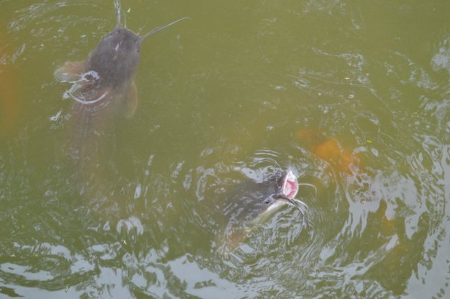 DSC_0020 (FILEminimizer)