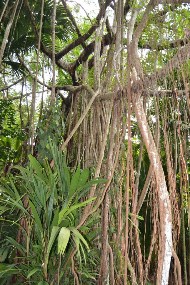 DSC_0027 (FILEminimizer)