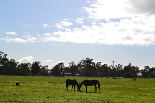 DSC_0027 (FILEminimizer)