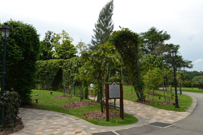 DSC_0030 (FILEminimizer)