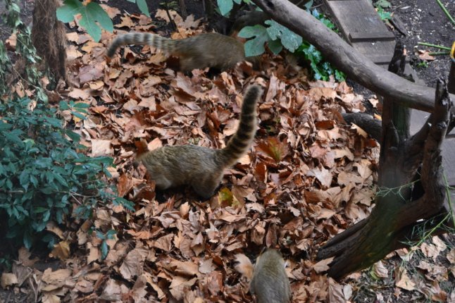 DSC_0034 (FILEminimizer)