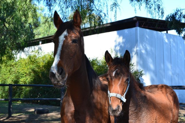 DSC_0038 (FILEminimizer)