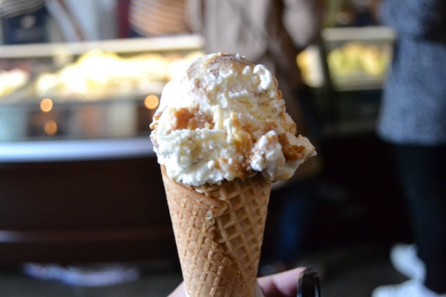 DSC_0039 (FILEminimizer)