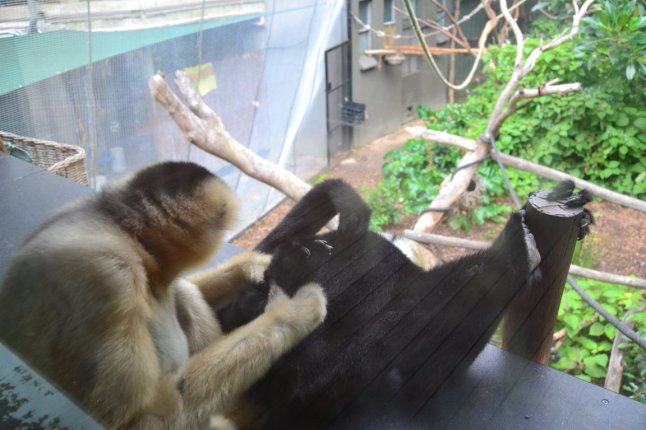 DSC_0039 (FILEminimizer)