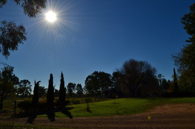 DSC_0039 (FILEminimizer)