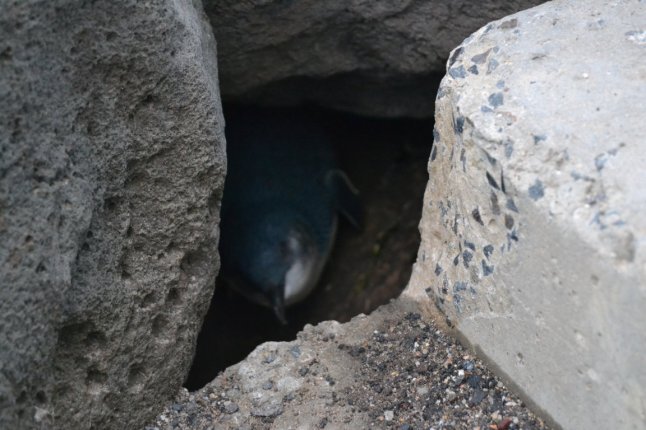 DSC_0044 (FILEminimizer)