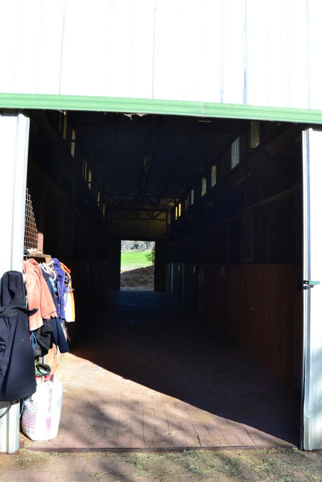 DSC_0044 (FILEminimizer)