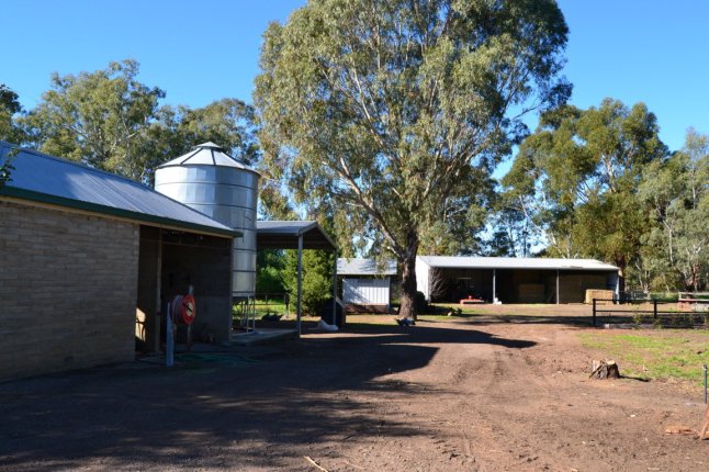 DSC_0045 (FILEminimizer)