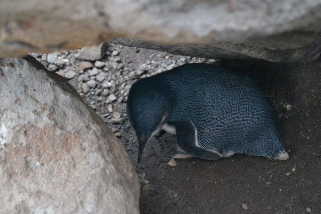 DSC_0046 (FILEminimizer)