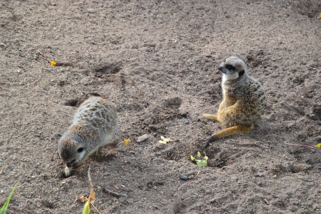 DSC_0052 (FILEminimizer)