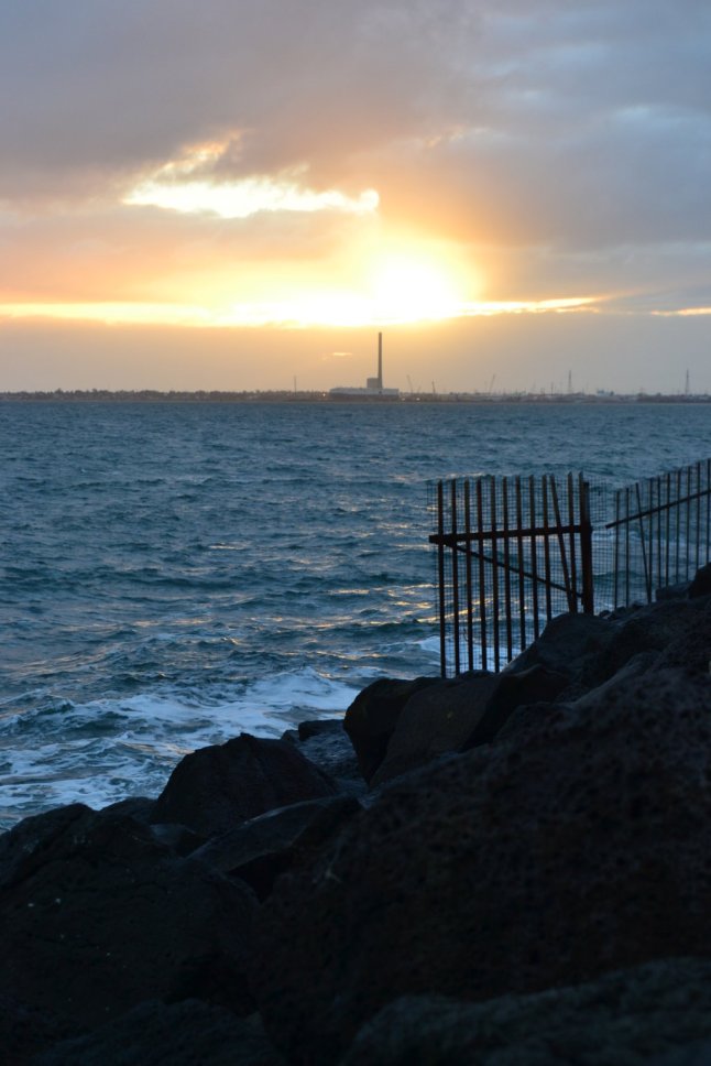 DSC_0059 (FILEminimizer)