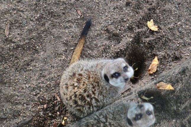 DSC_0059 (FILEminimizer)