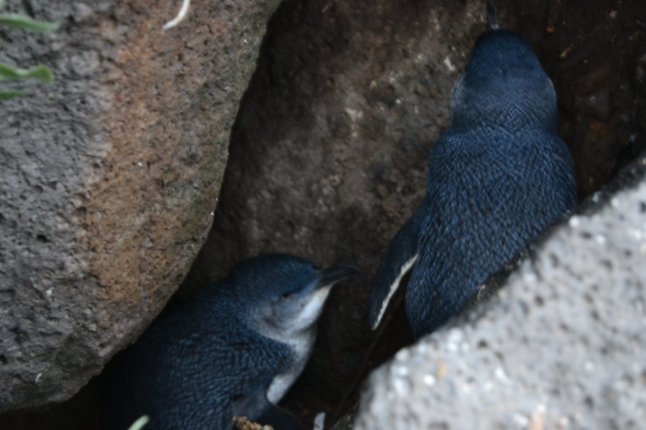 DSC_0060 (FILEminimizer)