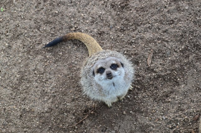 DSC_0061 (FILEminimizer)