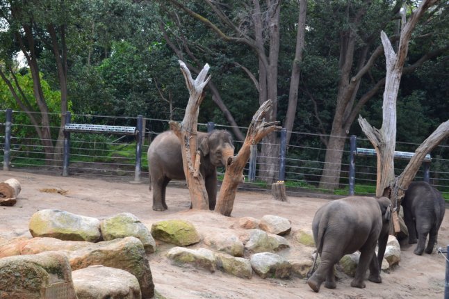 DSC_0063 (FILEminimizer)