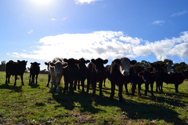 DSC_0067 (FILEminimizer)