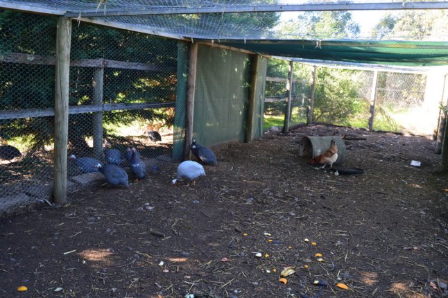 DSC_0071 (FILEminimizer)