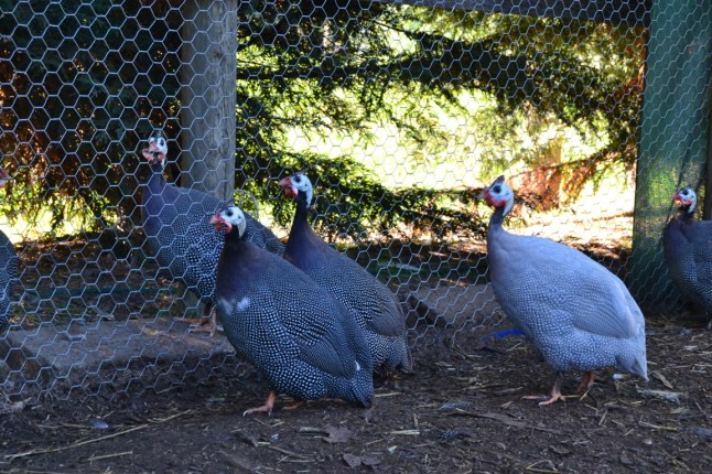 DSC_0072 (FILEminimizer)