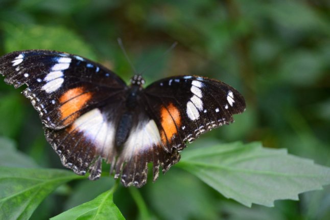 DSC_0075 (FILEminimizer)