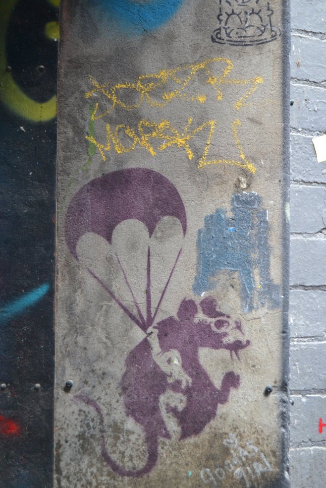 DSC_0082 (FILEminimizer)