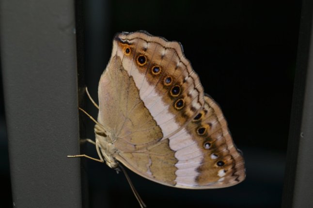 DSC_0082 (FILEminimizer)