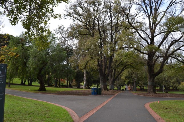 DSC_0084 (FILEminimizer)