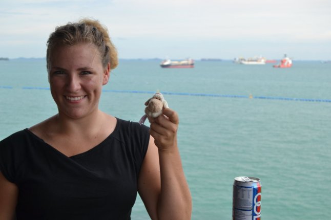 DSC_0086 (FILEminimizer)