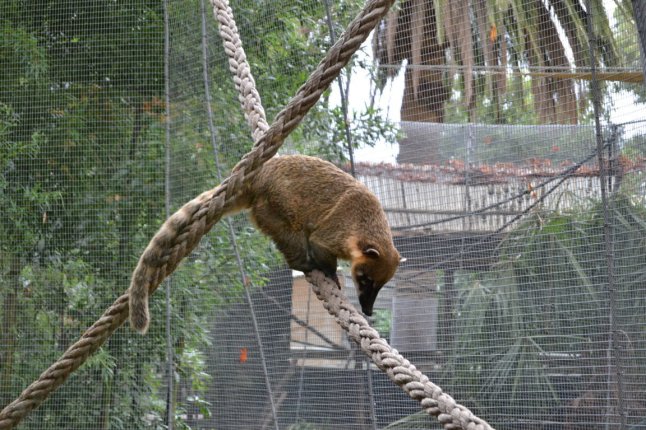 DSC_0087 (FILEminimizer)