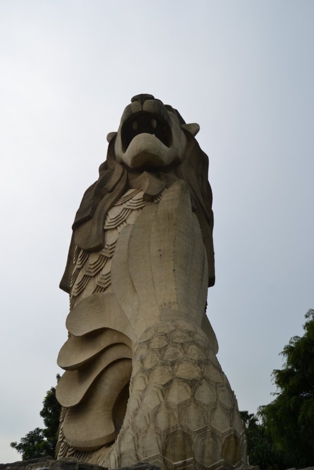 DSC_0096 (FILEminimizer)