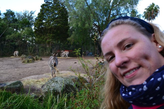 DSC_0099 (FILEminimizer)