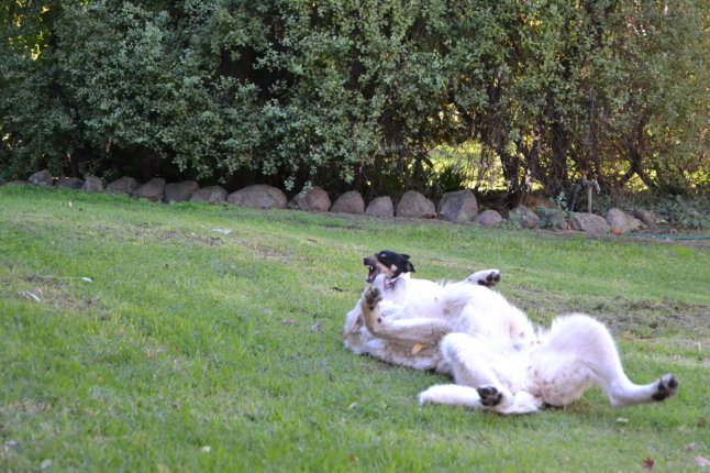 DSC_0108 (FILEminimizer)